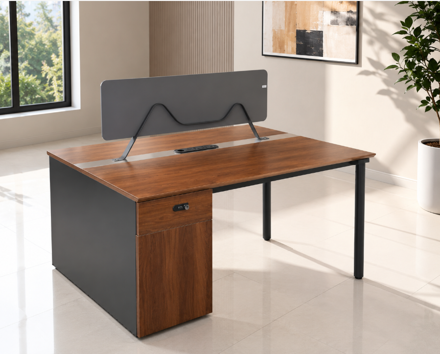 Modern Double Workstation